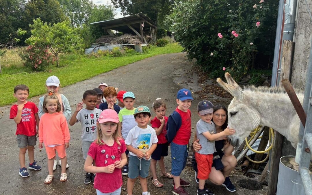 UN ÉTÉ AU CENTRE DE LOISIRS DE SAINTE-FEREOLE