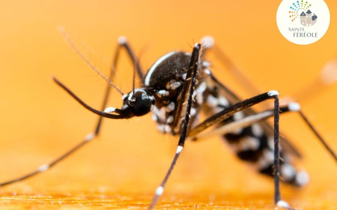 VOUS L&rsquo;AVEZ RECONNU ? SIGNALEZ LE !