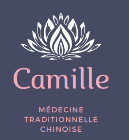 Logo medecine chinoise sainte fereole
