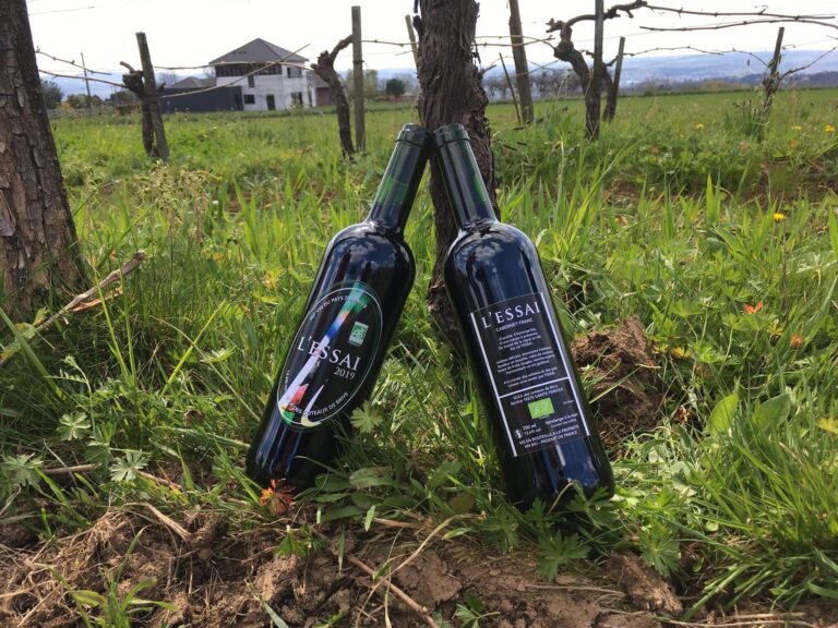 Vignoble des Coteaux de Brive 768x576