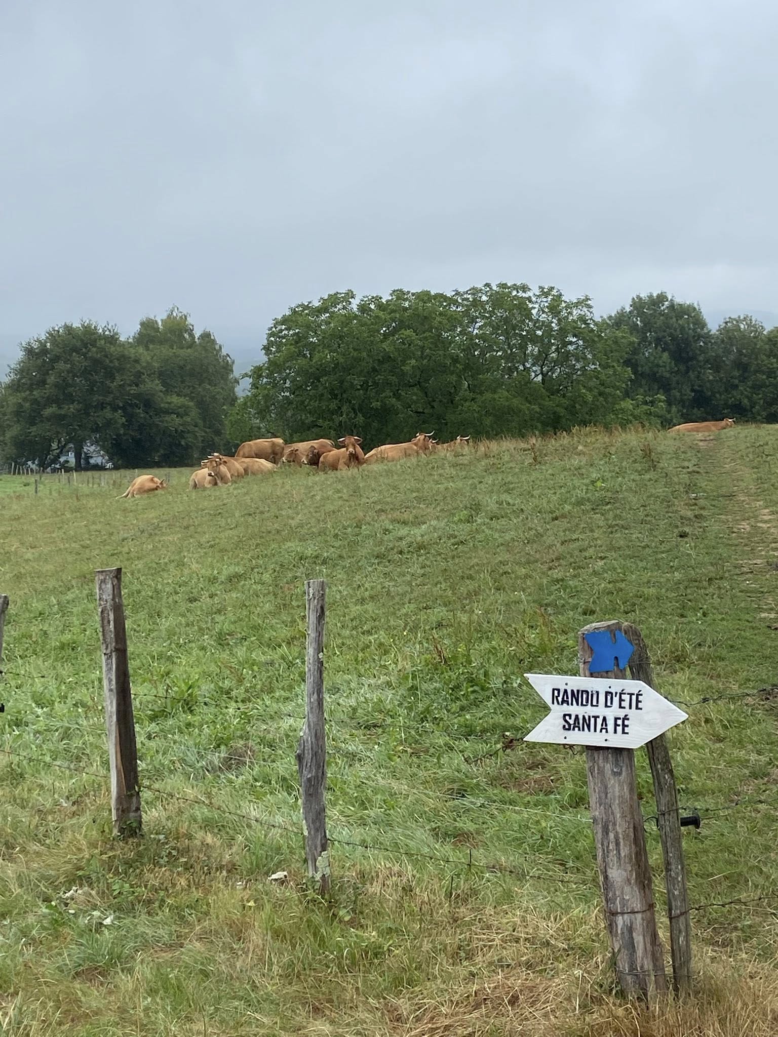 Malgré une bruine tenace et un temps gris, la motivation des randonneurs et des visiteurs du vide-grenier n’a pas été entamée ce matin.