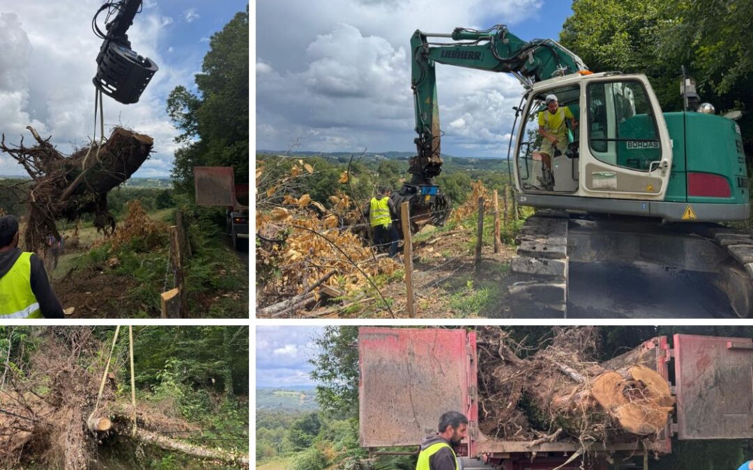 ORAGES DU 25 JUIN – SUITES