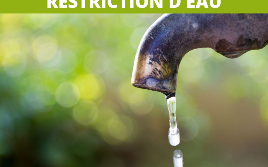 RESTRICTION D’EAU : NOUVELLE ALLÉGEMENT DES MESURES