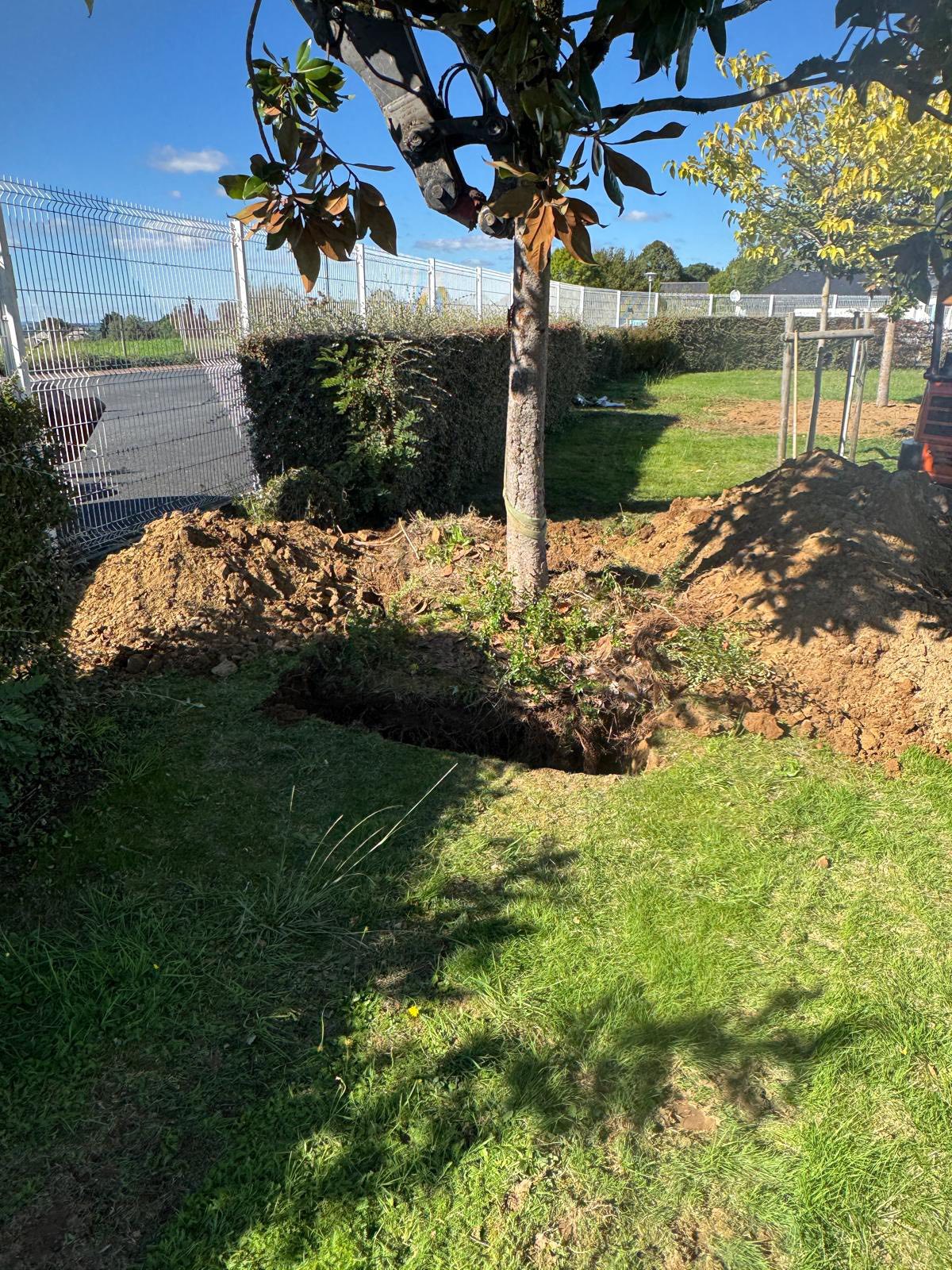Les travaux de réaménagement de la place Chaumeil ont débuté . Les végétaux ont été préservés récupères et replantés à l’instar des magnolias sitôt arrachés sitôt replantés par l’équipe technique, 3 à la piscine 🏊🏼 et 1 aux abords du stade ! Tous les arbustes, rosiers, buis, spirées sont récupérés et seront replantés dans les espaces verts de la commune.