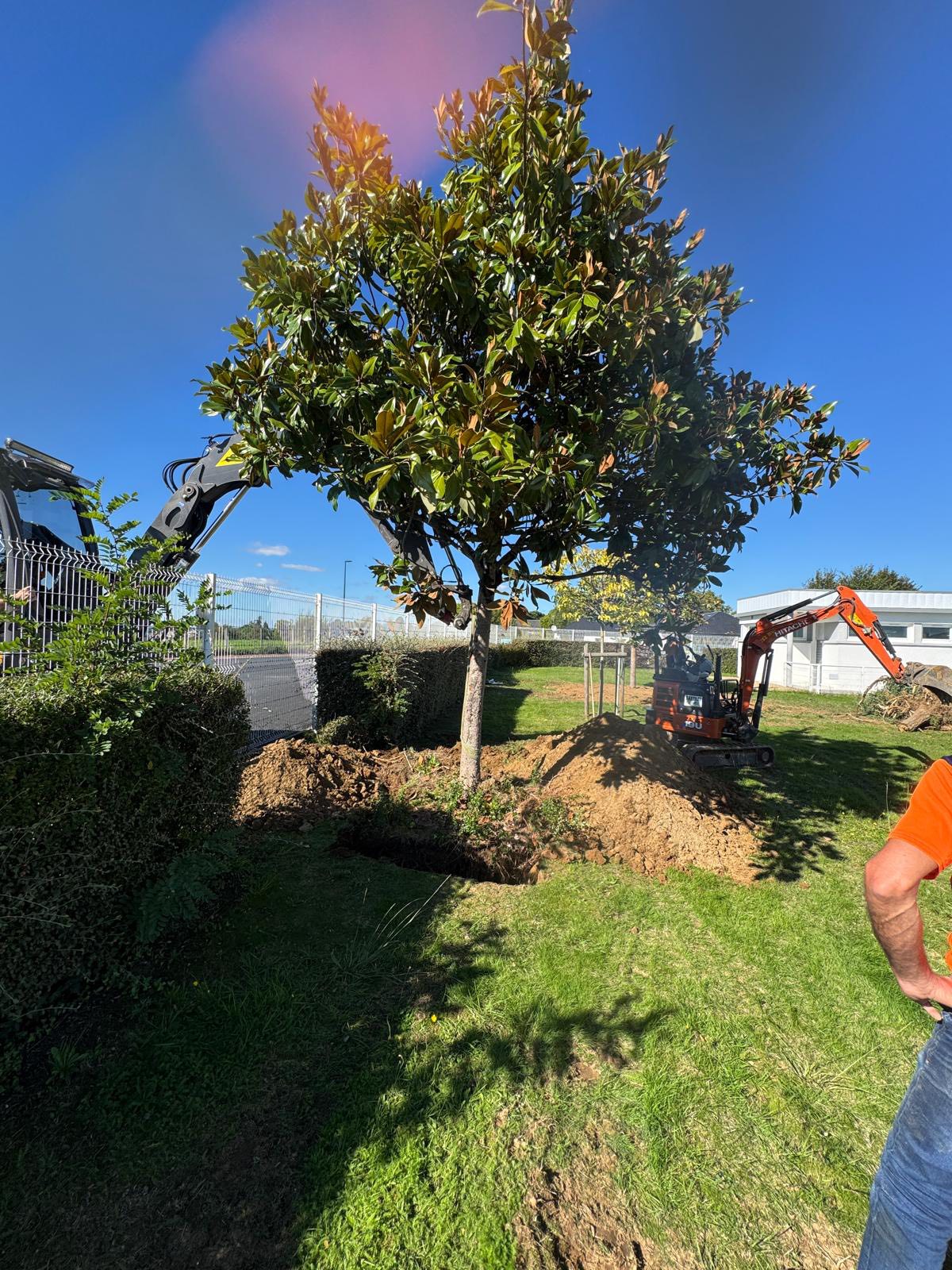 Les travaux de réaménagement de la place Chaumeil ont débuté . Les végétaux ont été préservés récupères et replantés à l’instar des magnolias sitôt arrachés sitôt replantés par l’équipe technique, 3 à la piscine 🏊🏼 et 1 aux abords du stade ! Tous les arbustes, rosiers, buis, spirées sont récupérés et seront replantés dans les espaces verts de la commune.