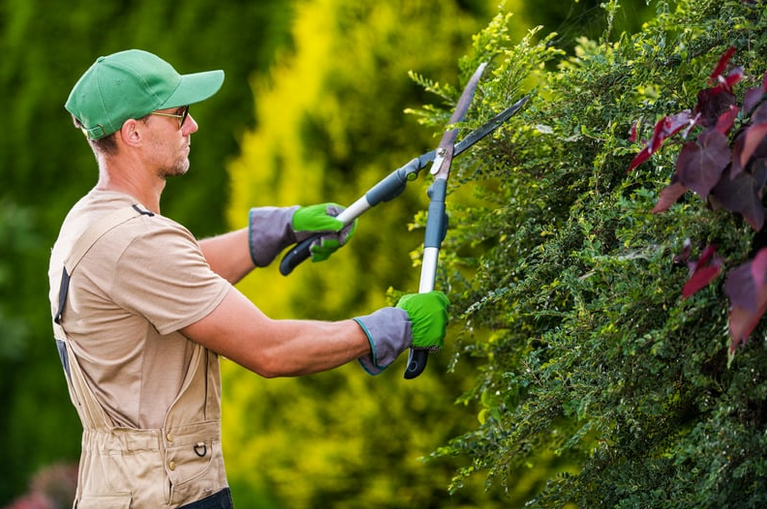 Capture decran 2026 02 26 153445