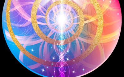 VANESSA BERTH KINÉSIOLOGUE