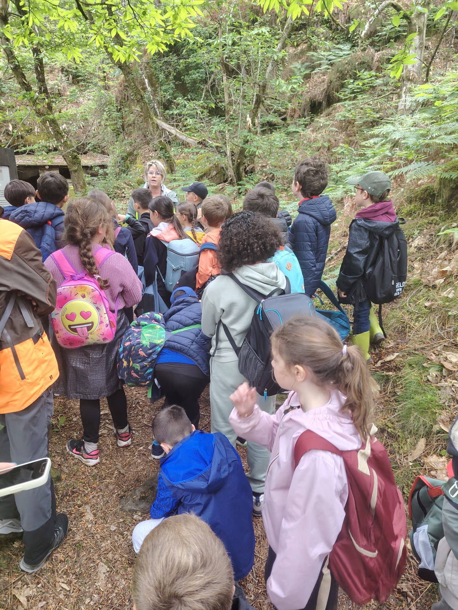 Retour en images sur les randonnées organisées sur la commune au départ du complexe sportif ce lundi et mardi et auxquelles ont participé les enfants des écoles de Sainte-Féréole accompagnés des enseignants et parents d’élèves. (cf. les photos)